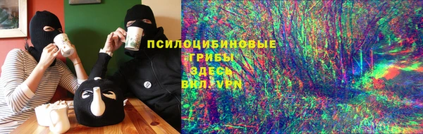 Альфа ПВП Корсаков