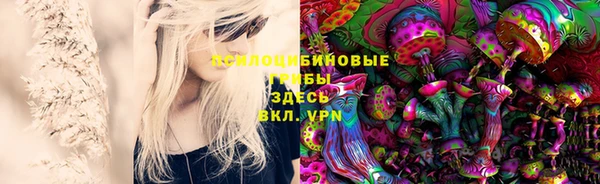 тгк Коряжма