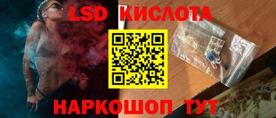 прущие грибы Кандалакша