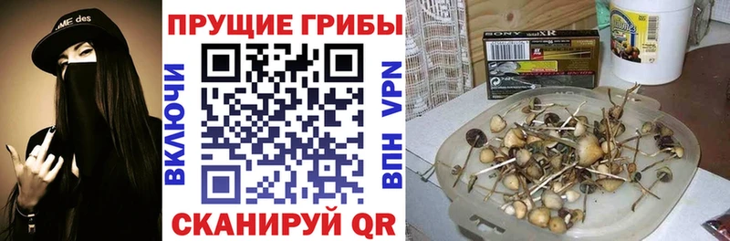 Галлюциногенные грибы мухоморы  Чебаркуль 
