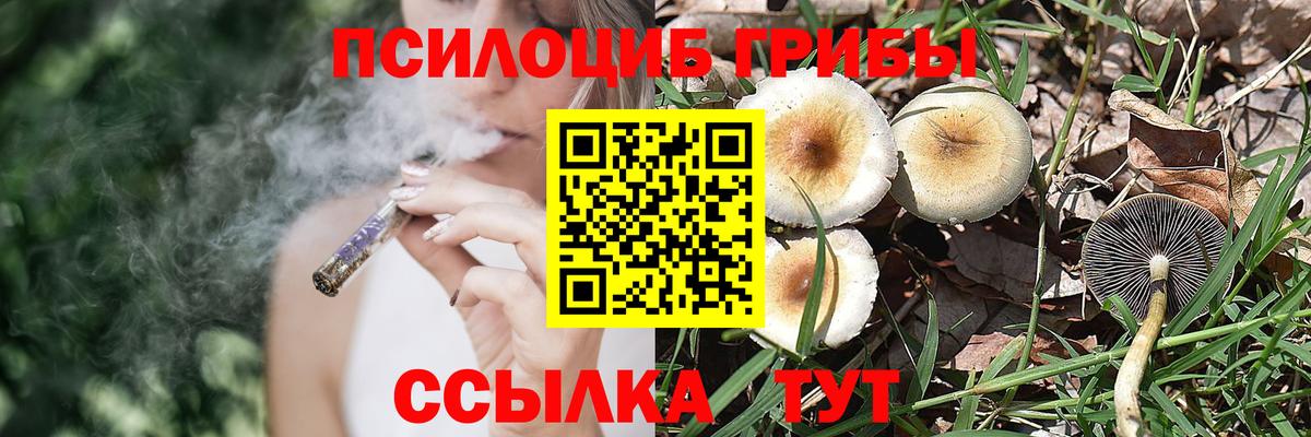 магазин  наркотиков  Галлюциногенные грибы прущие грибы  Чебаркуль  Вход с VPN  Псилоцибиновые грибы Psilocybine cubensis 